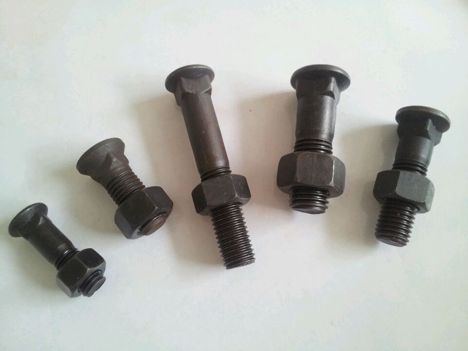 Bolt Nut-1